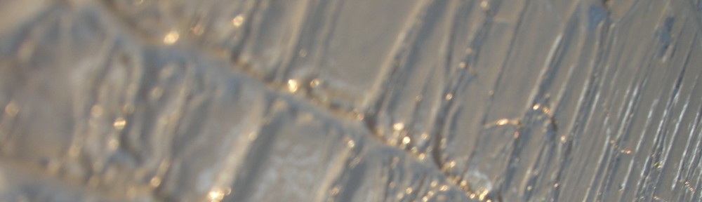 bsterlingcasselton.com